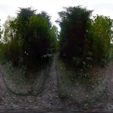 Натоптанная тропинка в лесу. Гродненская область. Коптёвский сельсовет. Октябрь 2023.