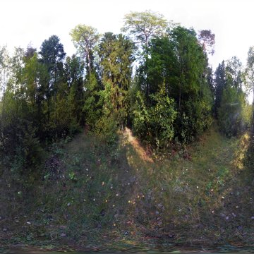 Пересечение двух просек в лесу. Гродненская область. Коптёвский сельсовет. Октябрь 2023.