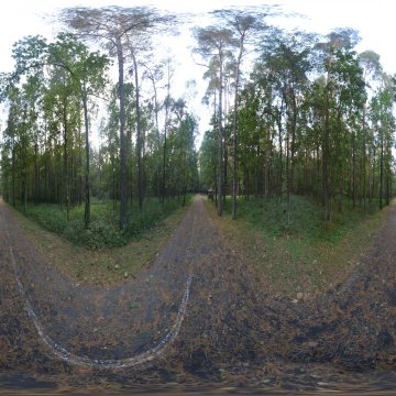 Тропа Здоровья в парке Пышки. Гродно. Лесопарк Пышки. Ноябрь 2023.