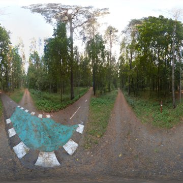 Перекрёсток велодорожки и просеки. Гродно. Лесопарк Пышки. Ноябрь 2023.