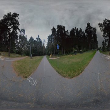 Вечерний терренкур. Гродно. Лесопарк Пышки. Ноябрь 2023.