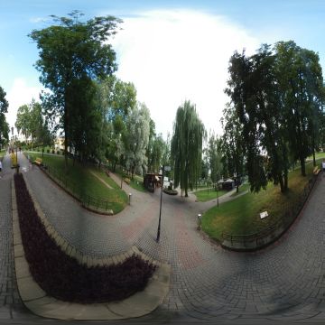 Клумба в парке Жилибера. Беларусь. Гродно. Июль 2025.
