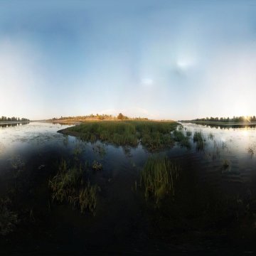 Волгоградская область. Окрестности Волжского. Пересыхающая Ахтуба. Лето 2010