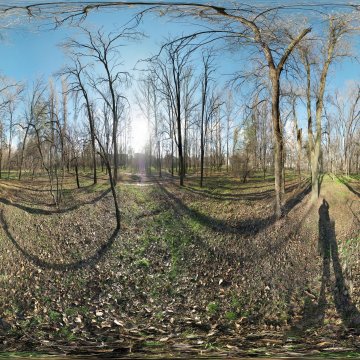 Волгоградская область. Волжский. Лесопосадка по ул. Молодёжной. Последний тёплый день. 2010