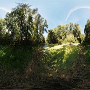 Волгоградская область. Волго-Ахтубинская пойма. Лес и ерик возле Сахарного. лето 2010