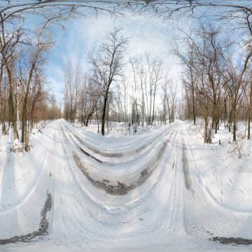 Волгоградская область. Волго-Ахтубинская пойма. Дорога от нового моста по острову Крит.  Зима 2011