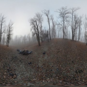 Волгоградская область. Волжский. Туманный лес. Берег острова Зелёного. 2020
