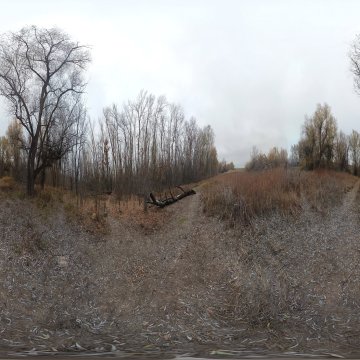 Волгоградская область. Окрестности Волжского. Край леса за Круглым озером. 2022