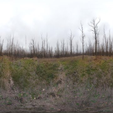 Волгоградская область. Окрестности Волжского. Просека в лесу за Круглым озером. 2022