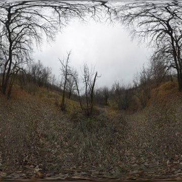 Волгоградская область. Волго-Ахтубинская пойма. Позднеосенняя пойменская дубрава. Дорога на Тутов 2022