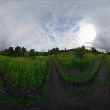 Волгоградская область. Волго-Ахтубинская пойма. Высокотравная пойма. Район Колхозной Ахтубы Июнь 2021