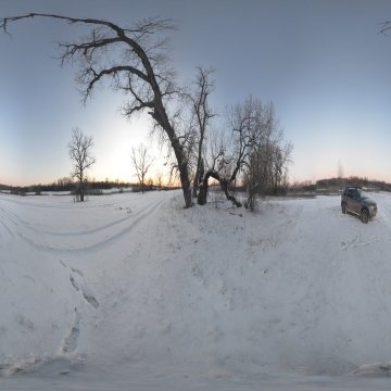 Волгоградская область. Волго-Ахтубинская пойма. дерево и машина в районе Репино январь 2023