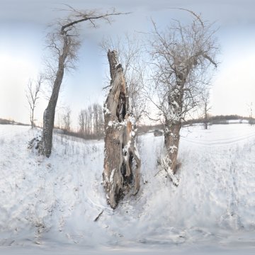 Волгоградская область. Волго-Ахтубинская пойма. Старые тополя у озера Зуморы район Репино январь 2023
