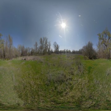 Волгоградская область. Волго-Ахтубинская пойма. Поляна у ерика район Куйбышева апрель 2023